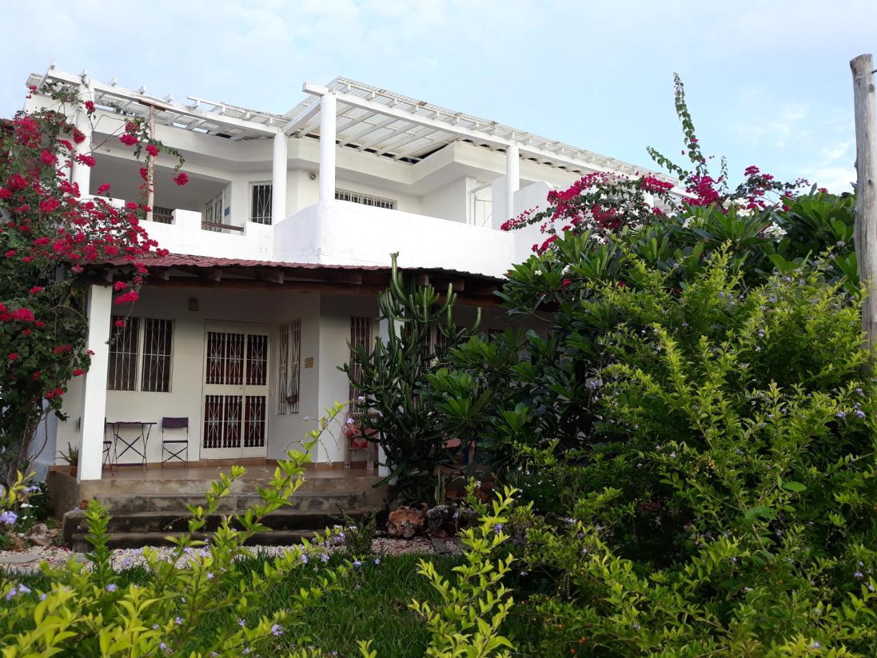 Nakupenda Apartments Kiwengwa  Exterior photo